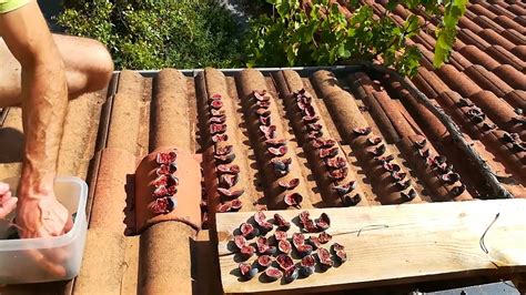 Séchage traditionnel des figues au soleil