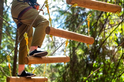 Image symbolisant la nature et les activités de plein air en Sologne