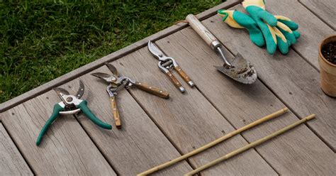 Outils de jardinage manuels disposés sur une surface en bois