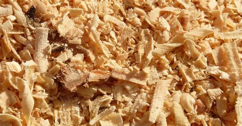 Schéma comparatif montrant la taille des copeaux : sciure vs BRF vs copeaux grossiers