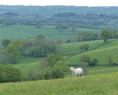Vue panoramique sur les collines du Brionnais autour du Potager Saint Racho