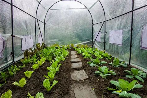 Schéma explicatif des bénéfices d'une serre tunnel en hiver