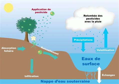 Schéma illustrant l'application d'engrais liquide dans l'eau d'arrosage