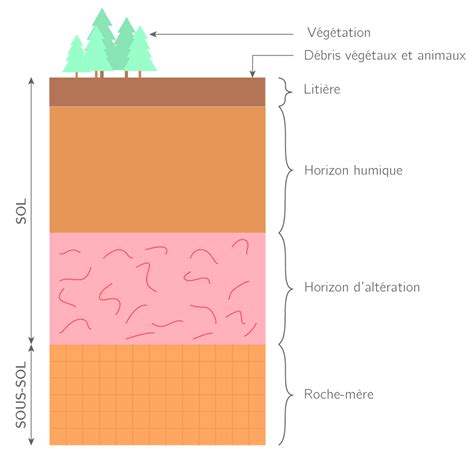Infographie montrant la coupe d'un sol bien préparé avec ses différents niveaux d'amendement