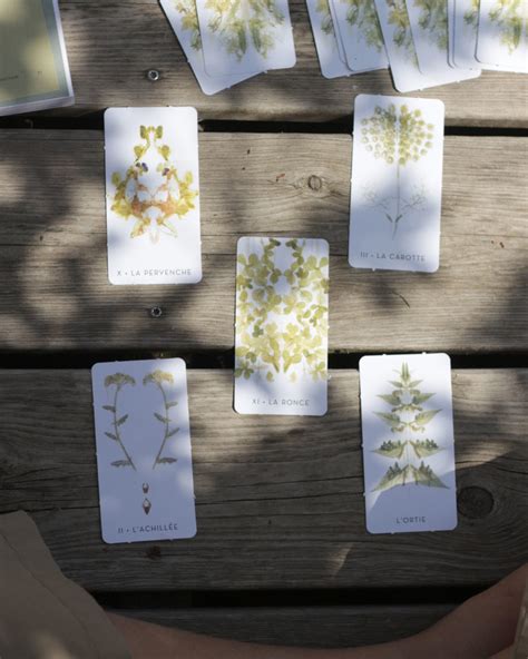 une illustration poétique représentant des plantes sauvages poussant entre des pavés urbains, symbolisant la résilience des 
