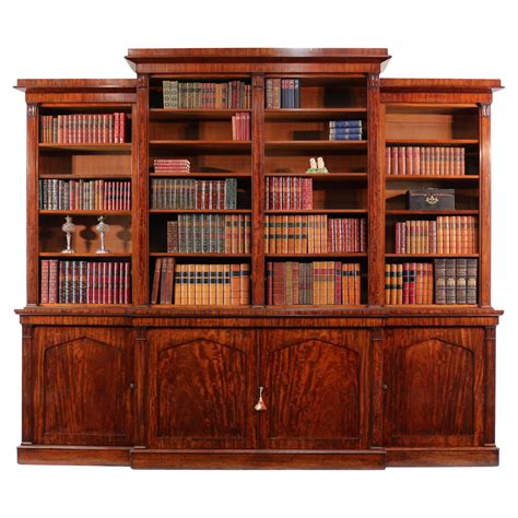 un portrait symbolique d'une bibliothèque ancienne mêlée à des éléments de nature sauvage, évoquant le style de l'auteure