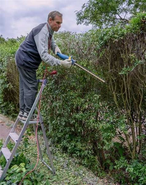 Photo d'un utilisateur utilisant une perche télescopique multifonction pour tailler une haie