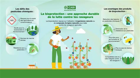 Infographie comparant les méthodes de lutte chimique et biologique