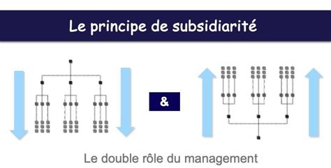 Schéma illustrant le principe de subsidiarité et de proportionnalité des mesures de protection juridique