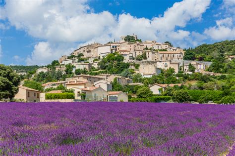 Vue panoramique d'un village provençal traditionnel entouré de champs de lavande et de cyprès