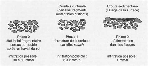 Schéma illustrant la structure du sol : terre compactée (croûte de battance) vs terre ameublie par le binage