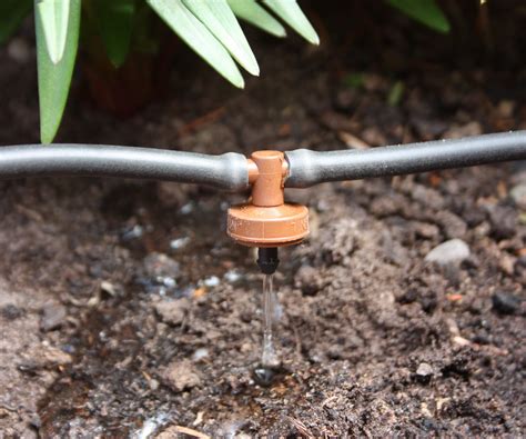 Comparaison visuelle entre un tuyau poreux (irrigation continue) et un système goutte-à-goutte (goutteurs ponctuels)