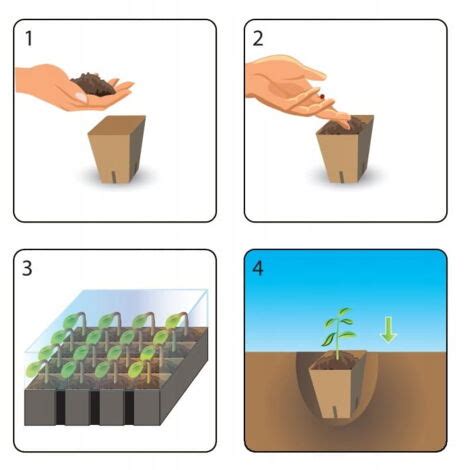 Schéma technique d'une mini-serre pour le semis de graminées