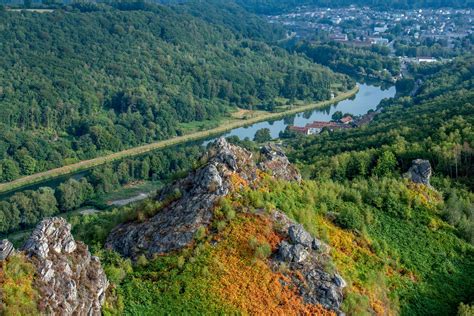 Paysage forestier typique des Ardennes avec des sous-bois propices à la croissance des myrtilles