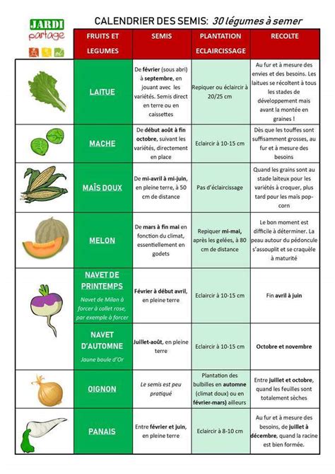 Infographie montrant le calendrier idéal des semis et récoltes en Bretagne