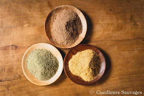 Infographie présentant les différentes poudres de plantes et leurs effets chromatiques sur la chevelure