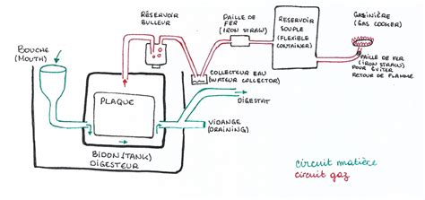 Schéma de principe d'un biodigesteur domestique montrant l'entrée des intrants, la cuve de fermentation et la récupération du gaz