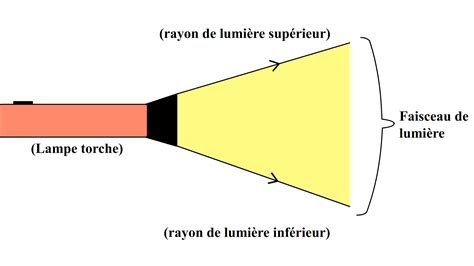 Schéma illustrant l'emplacement idéal du Dracaena par rapport à une source de lumière