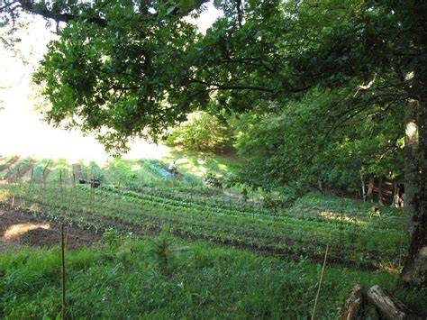 Ferme permacole diversifiée et résiliente