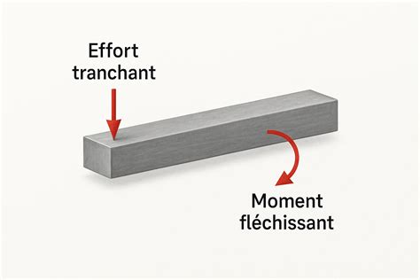 comparatif visuel entre tranchant lisse et tranchant dentelé sur une lame d'acier