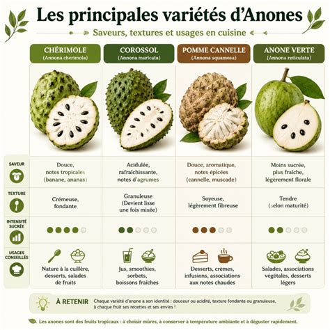 Infographie présentant différentes variétés d'Alstroemères avec leurs caractéristiques