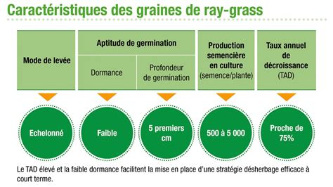 Molécules herbicides agissant sur le ray-grass