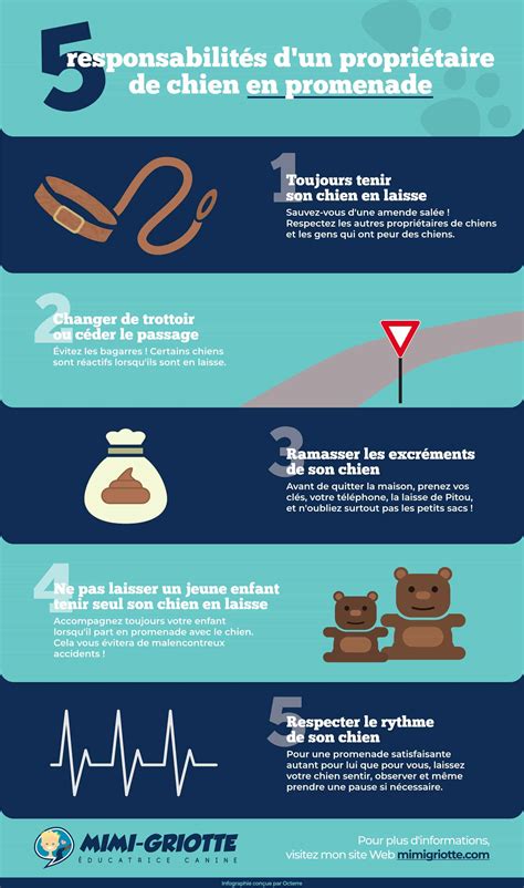 Infographie sur les responsabilités des propriétaires d'animaux