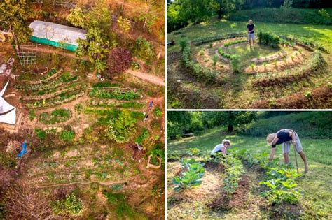 jardin en permaculture diversifié
