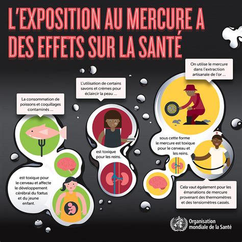 Infographie sur les sources et les effets du mercure sur la santé