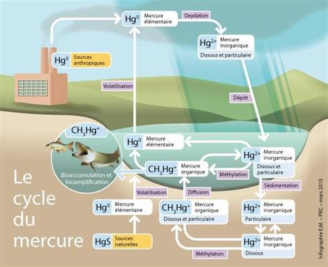Diagramme du cycle du mercure dans l'environnement
