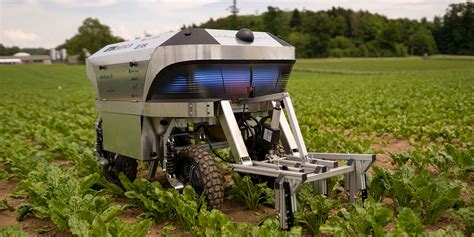 Schéma conceptuel d'un robot autonome de désherbage en action dans un champ de culture