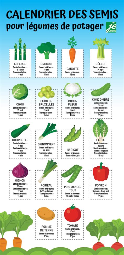 Calendrier de semis des légumes feuilles