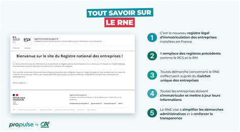 Infographie : Registre National des Entreprises (RNE)