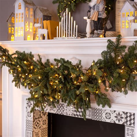 Variétés de sapinage et de branches décoratives