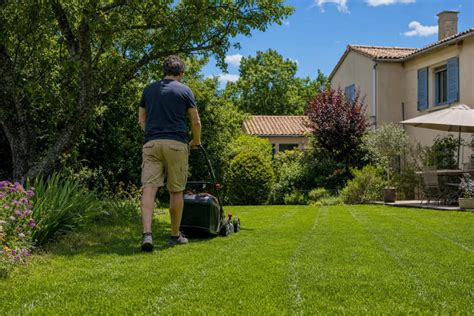 une pelouse verte et dense après application de terreau