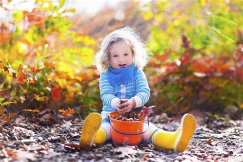 Enfant observant la nature en automne