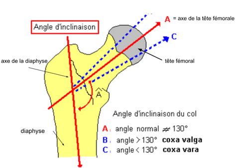 Infographie montrant l'angle d'inclinaison idéal pour une coupe efficace