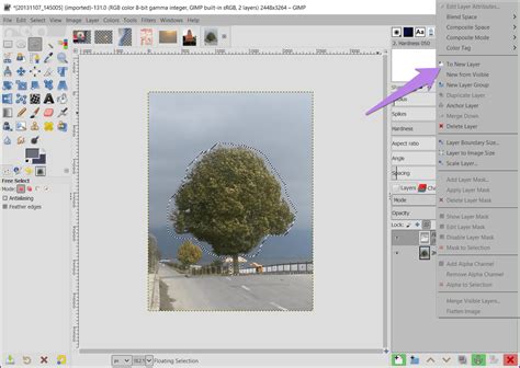 Importation d'un élément dans GIMP avec cadre flottant