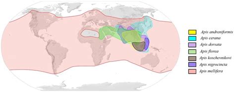 Carte de répartition mondiale des espèces du genre Rhododendron