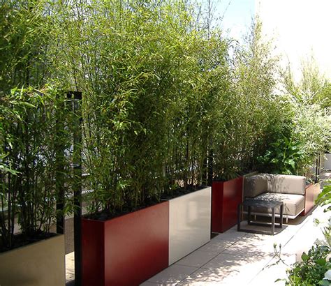 Jardinières hautes avec bambous non-traçants sur un balcon