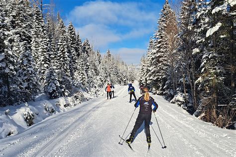 Vue des pistes de ski de fond en forêt dans les Vosges