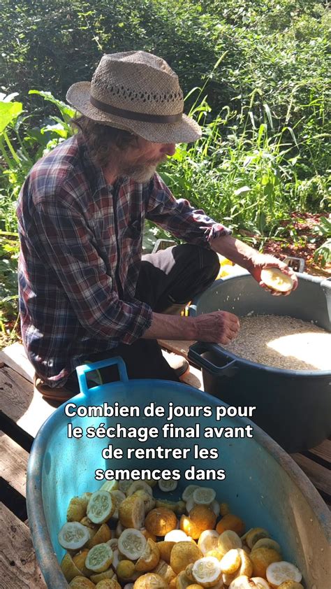 Infographie illustrant le processus de récolte des graines : repérage, séchage, nettoyage et stockage