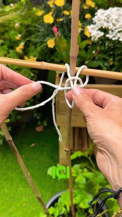 Étapes de fabrication d'un tuteur DIY en fil et jute