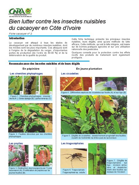 Infographie présentant les principaux ravageurs du noisetier et les méthodes de lutte biologique associées