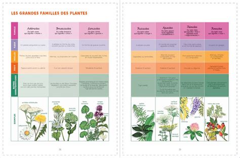 Photographie comparative des feuillages colorés des variétés ornementales et comestibles.