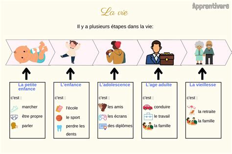 Diagramme illustrant les étapes de la vie administrative d'une SARL en France