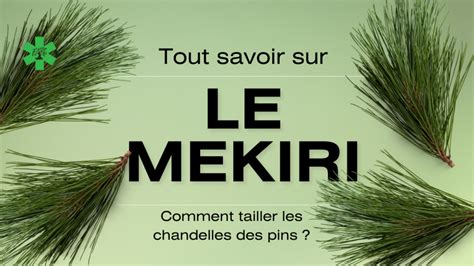 Illustration comparative d'une branche avant et après la technique du Mekiri