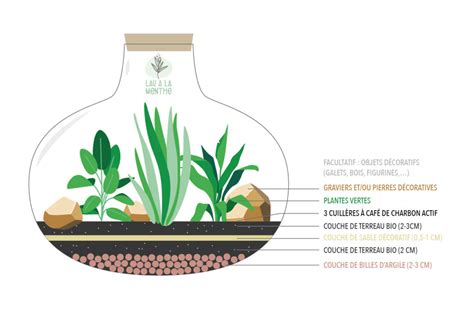 Schéma de la structure d'un terrarium en couches successives