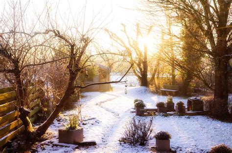 jardin brumeux en novembre