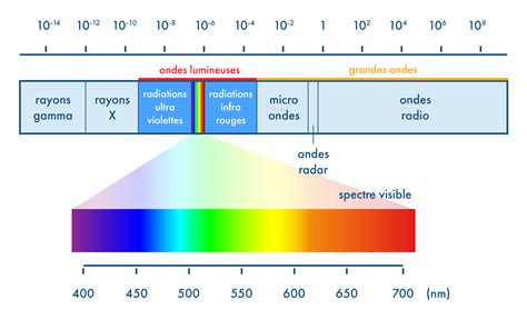 Schéma illustrant le spectre lumineux optimal pour la croissance des succulentes (400-700 nm)